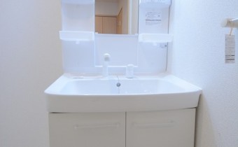 シャンプードレッサー