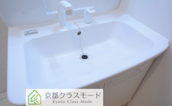 シャンプードレッサー