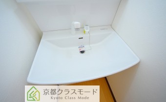 シャンプードレッサー