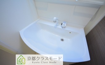 シャンプードレッサー