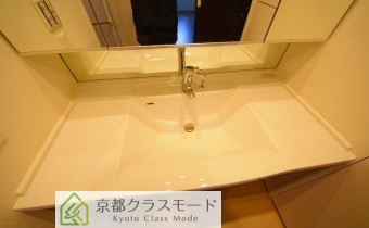 シャンプードレッサー