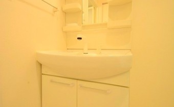 シャンプードレッサー