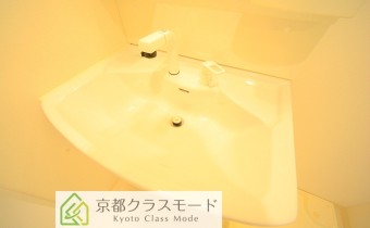 シャンプードレッサー