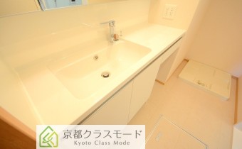シャンプードレッサー