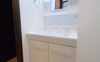 シャンプードレッサー