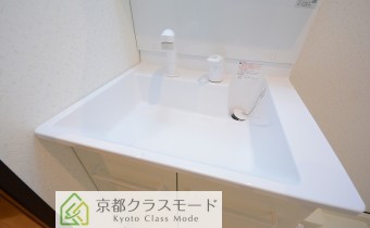 シャンプードレッサー