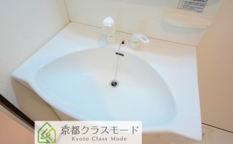 シャンプードレッサー