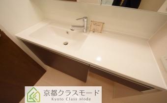 シャンプードレッサー