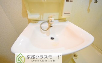 シャンプードレッサー