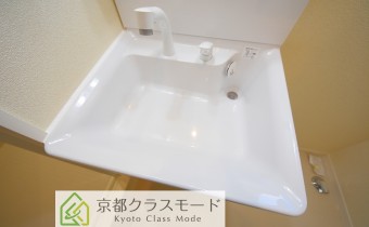シャンプードレッサー