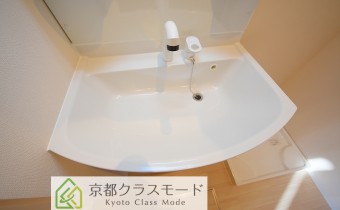 シャンプードレッサー