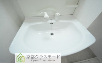 シャンプードレッサー