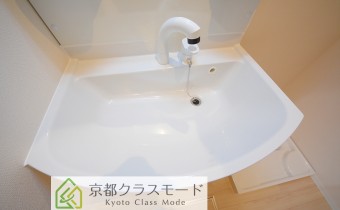 シャンプードレッサー