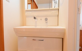 シャンプードレッサー