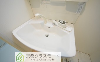 シャンプードレッサー