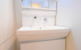 シャンプードレッサー