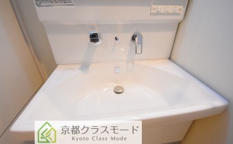 シャンプードレッサー
