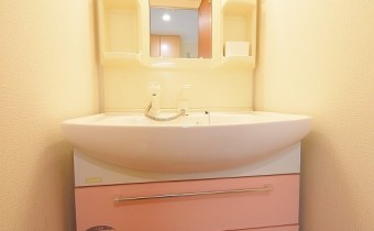 シャンプードレッサー