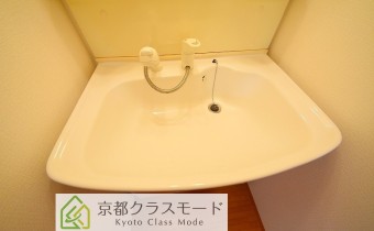 シャンプードレッサー