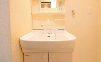 シャンプードレッサー　※室内写真は同マンション内の別タイプのお部屋になります。