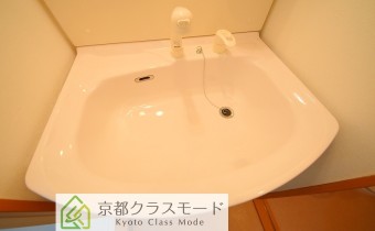 シャンプードレッサー
