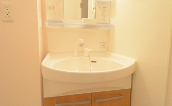 シャンプードレッサー