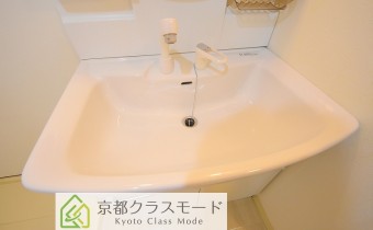 シャンプードレッサー