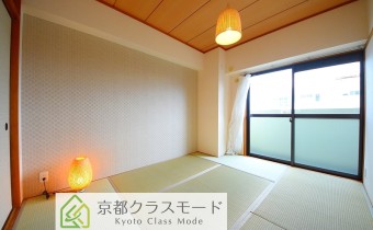 和6