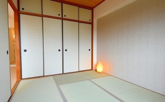 和6