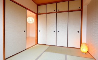 和6