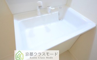 シャンプードレッサー