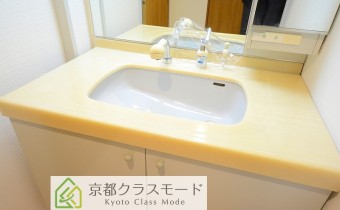 シャンプードレッサー