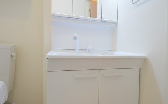 シャンプードレッサー