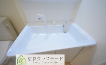 シャンプードレッサー
