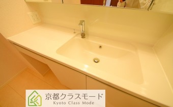 シャンプードレッサー