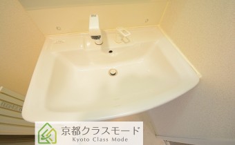 シャンプードレッサー