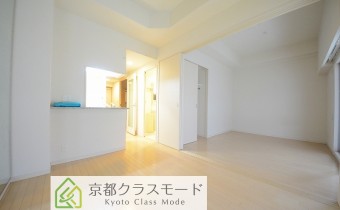 カウンターキッチンタイプのお洒落なお部屋です♪「ペット飼育OK]！