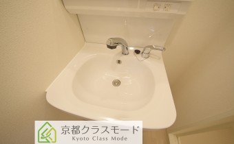 シャンプードレッサー