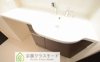 シャンプードレッサー