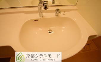 シャンプードレッサー