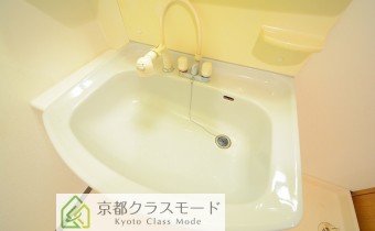 シャンプードレッサー
