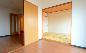 Room 5