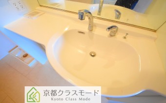 シャンプードレッサー