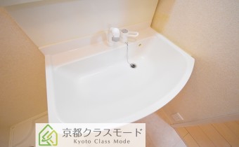 シャンプードレッサー