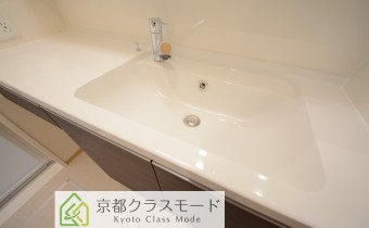 シャンプードレッサー