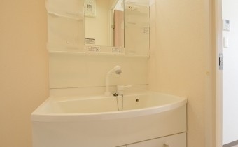 シャンプードレッサー