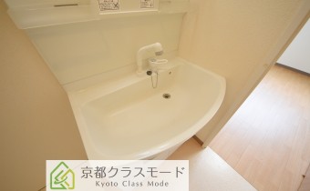 シャンプードレッサー