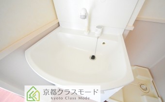 シャンプードレッサー