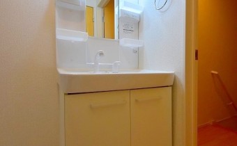 シャンプードレッサー