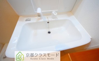 シャンプードレッサー